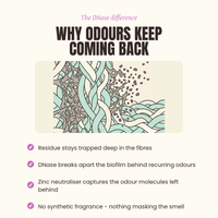 How DNase in the Enzyme Laundry Booster breaks down the biofilm in fabric fibres behind recurring laundry odours