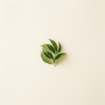 Green tea leaves