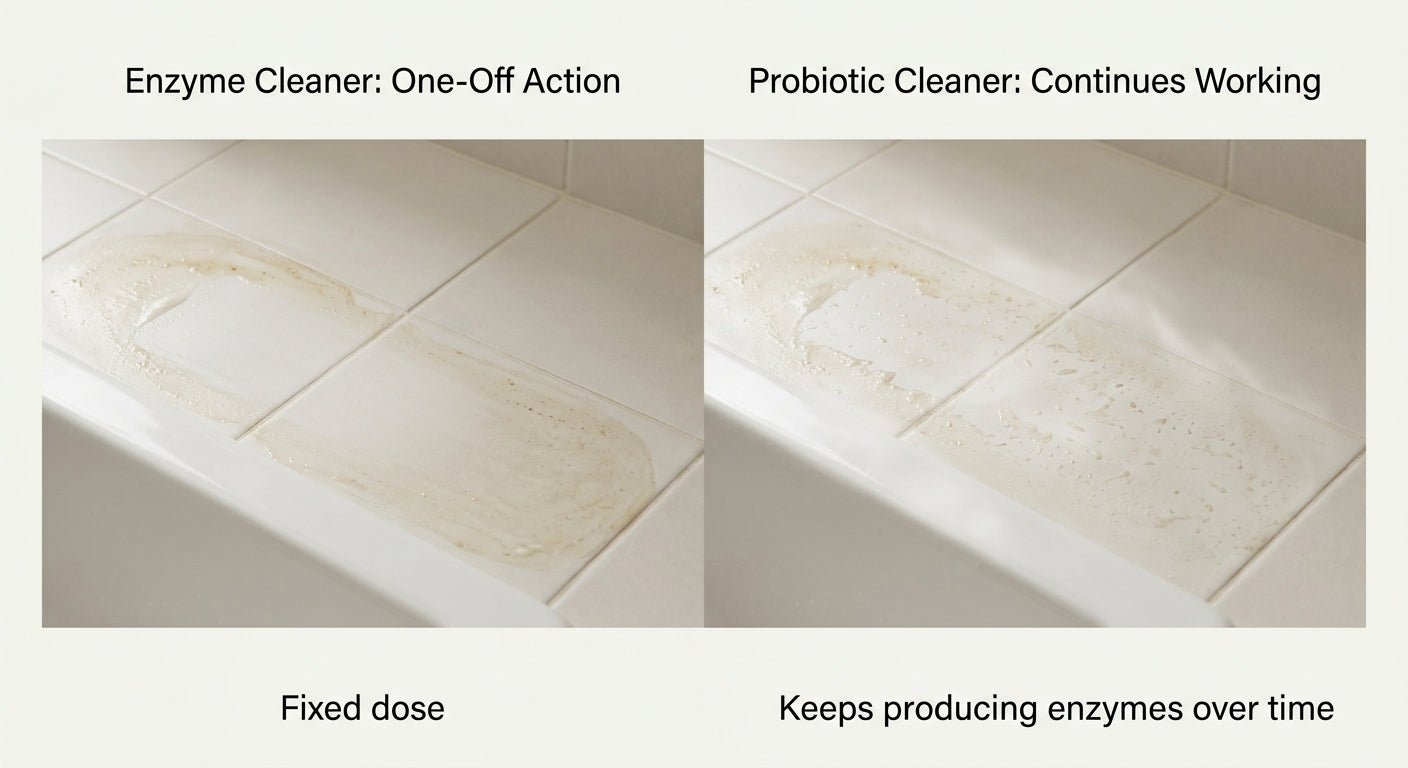 Probiotic cleaning tablet dissolving in water showing active enzyme action