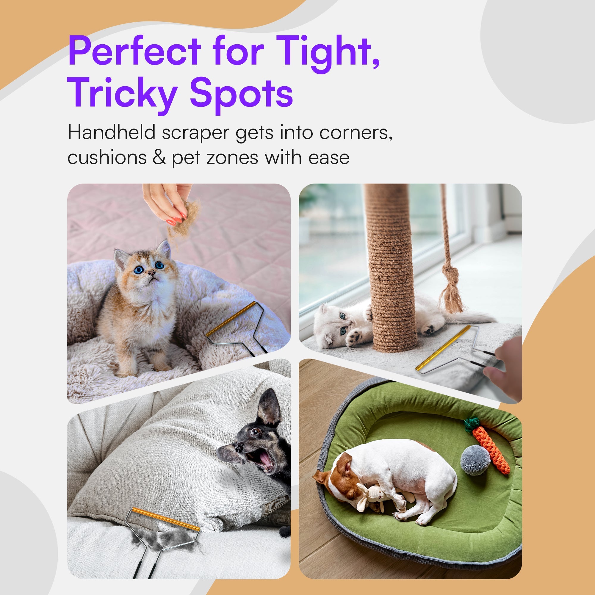 Dual - Edge Pet Hair Carpet Rake and Scraper - Pet Hair Removal with 157cm Adjustable Handle, Swappable Squeegee and Tooth Edge - viblii