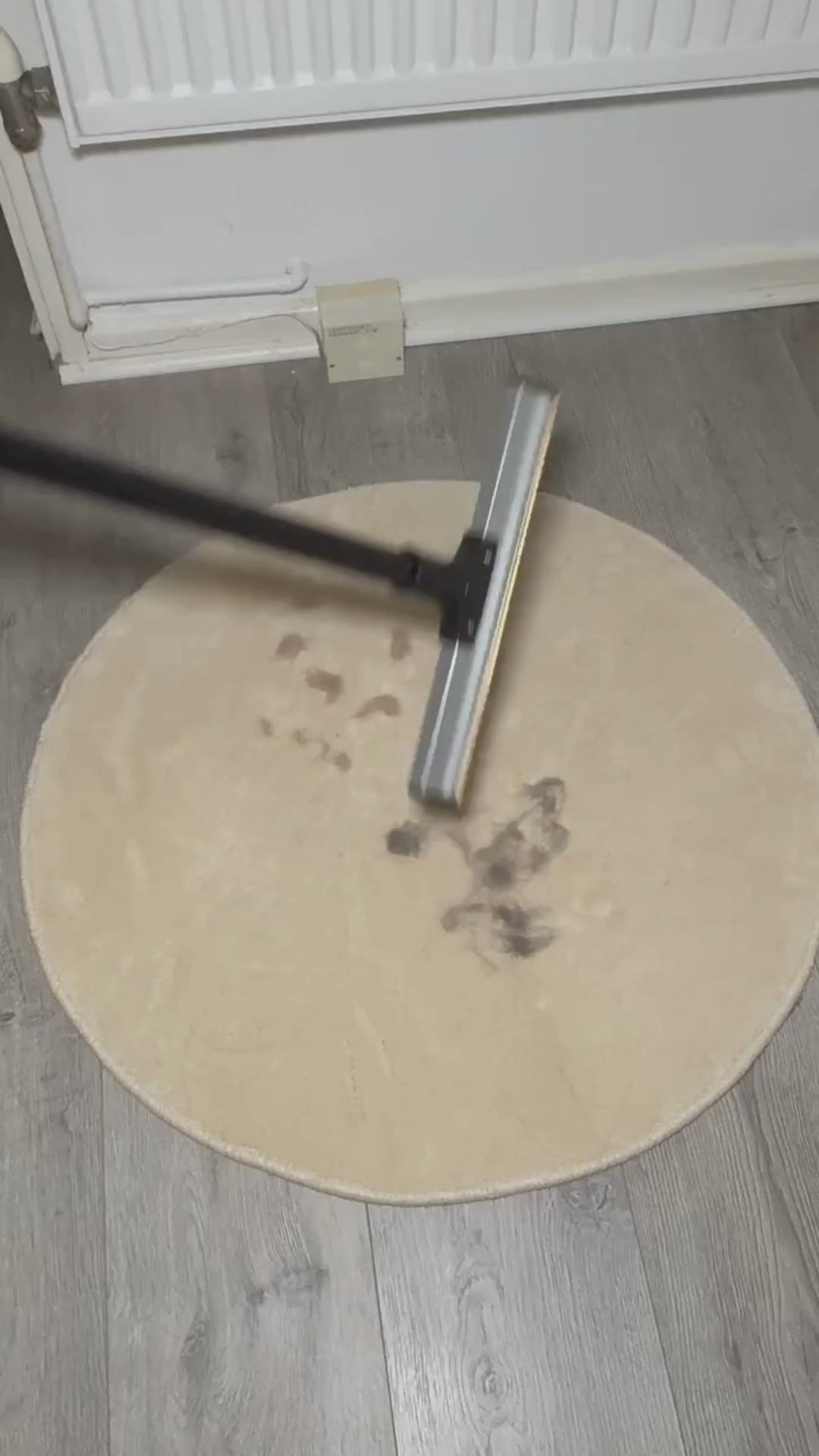 Dual-Edge Carpet Rake for Pet Hair Removal