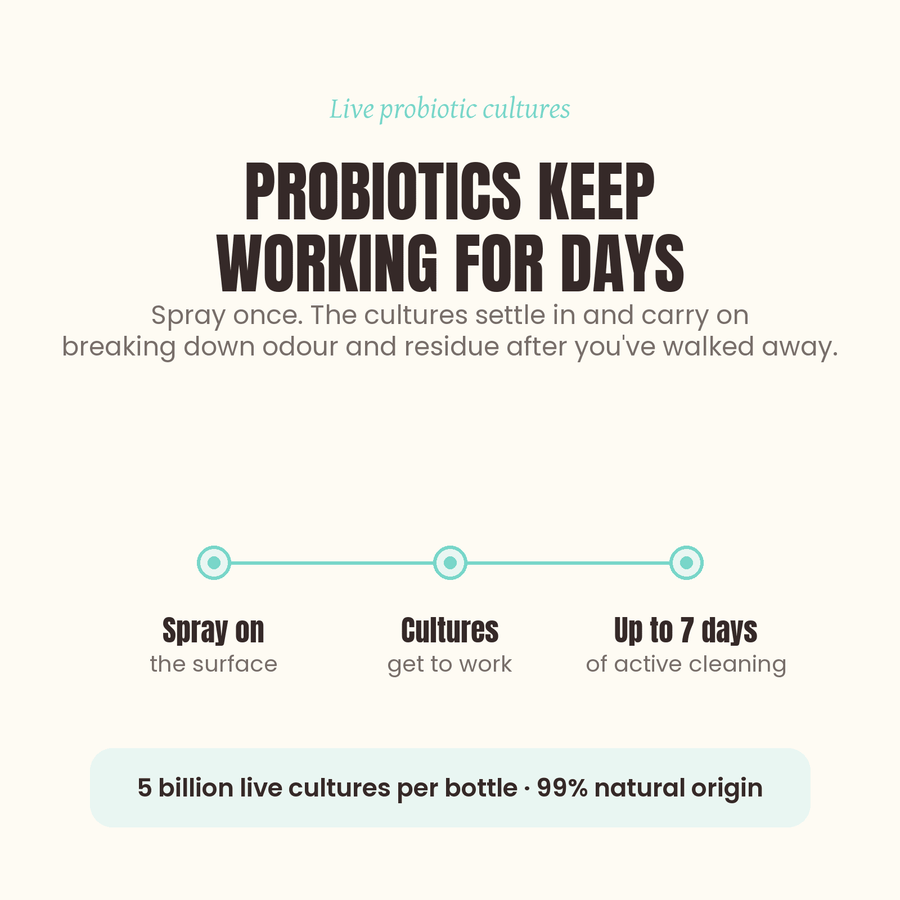 Probiotic Odour and Stain Remover - viblii