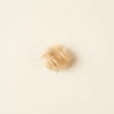 Pet fur
